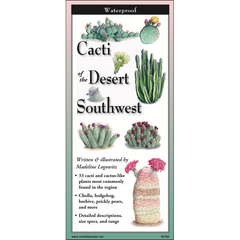 CACTIOFTHEDESERTSOUTHWEST1_240