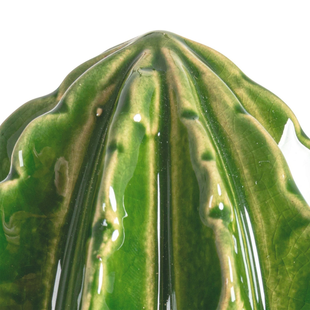 CACTUS JUICER