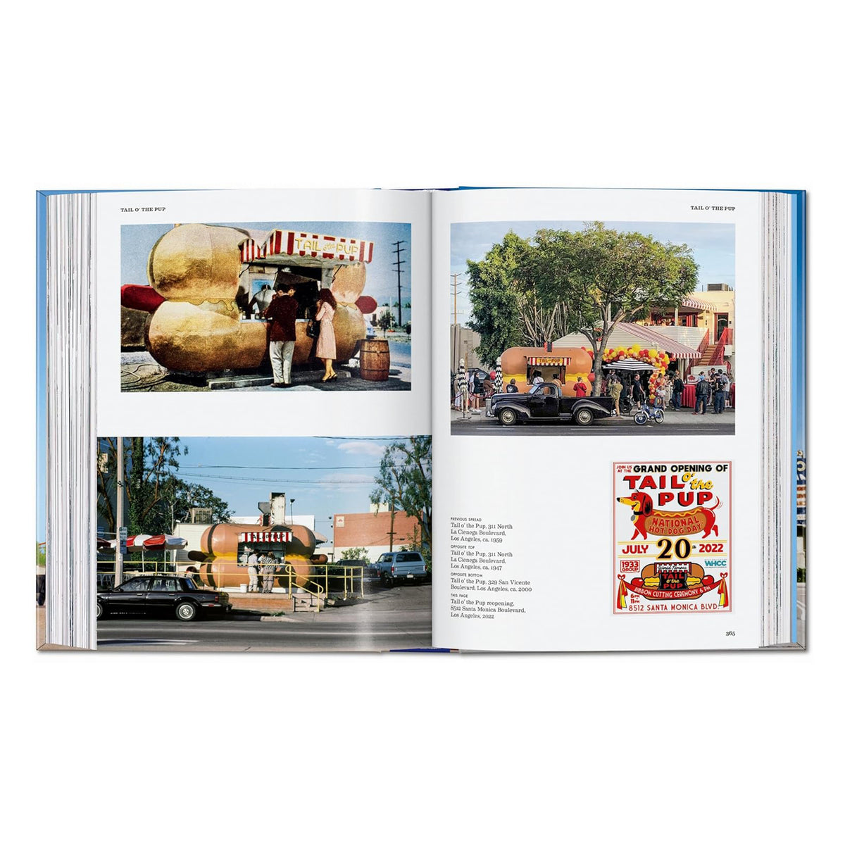 CALIFORNIA CRAZY-AMERICAN POP ARCHITURE