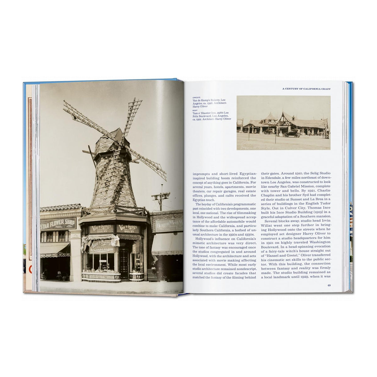 CALIFORNIA CRAZY-AMERICAN POP ARCHITURE