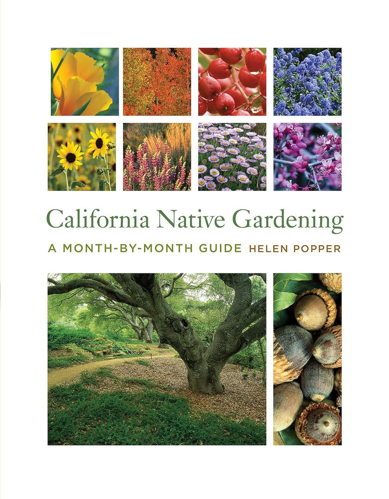 This month-by-month guide to gardening with native plants in a state that follows a unique, nontraditional rhythm. Beginning in October, when much of California prepares for its own green “spring,” Helen Popper provides detailed, calendar-based information for both beginning and experienced native gardeners. Paperback.