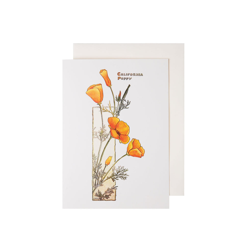 Fine art notecard featuring a print of California Poppy (ca.1905) by artist Elisabeth M. Hallowell (American, 1861 - 1910). The original watercolor resides in the collections of The Huntington Library, Art Museum & Botanical Gardens.. Notecard with envelope. Blank inside for your own message Dimensions: 5" x 7"