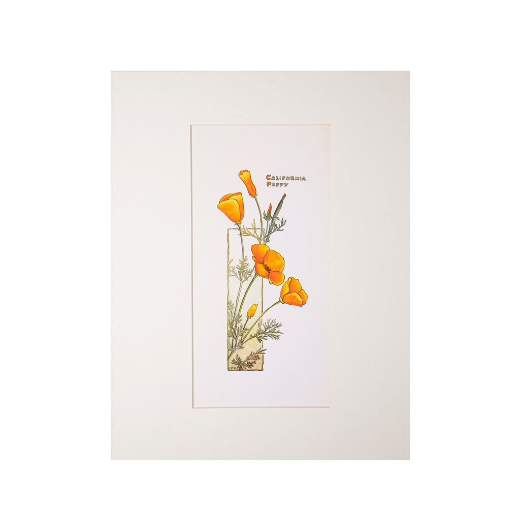 Fine art print of an original painting, California Poppy (ca.1905) by artist Elisabeth M. Hallowell (American, 1861 - 1910). The original watercolor resides in the collections of The Huntington. Exclusive to the Huntington Store. Print size: 10" x 5". Size including mount-board surround: 14" x 11".