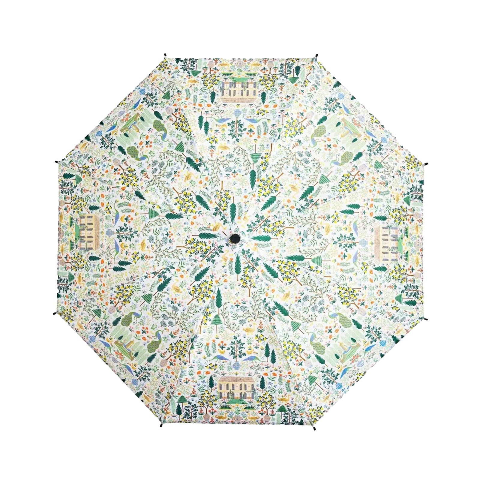 Decorative umbrella with floral pattern on a white background