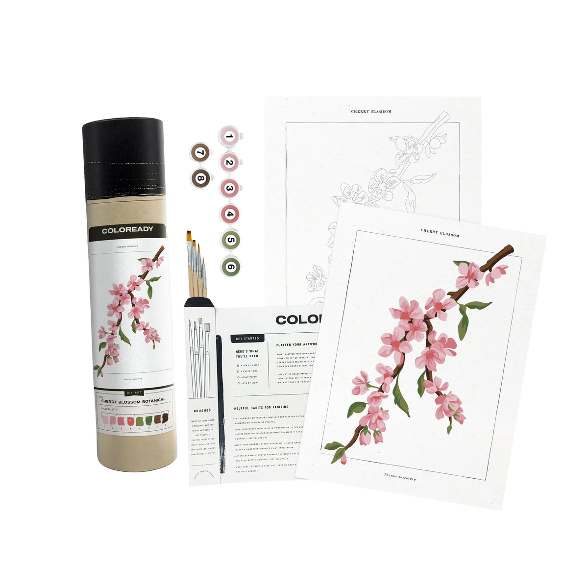 A floral art coloring kit on a white background, including a can of ColorLady floral pigment paint, a paintbrush, color chips, printed coloring pages, and an instruction booklet.