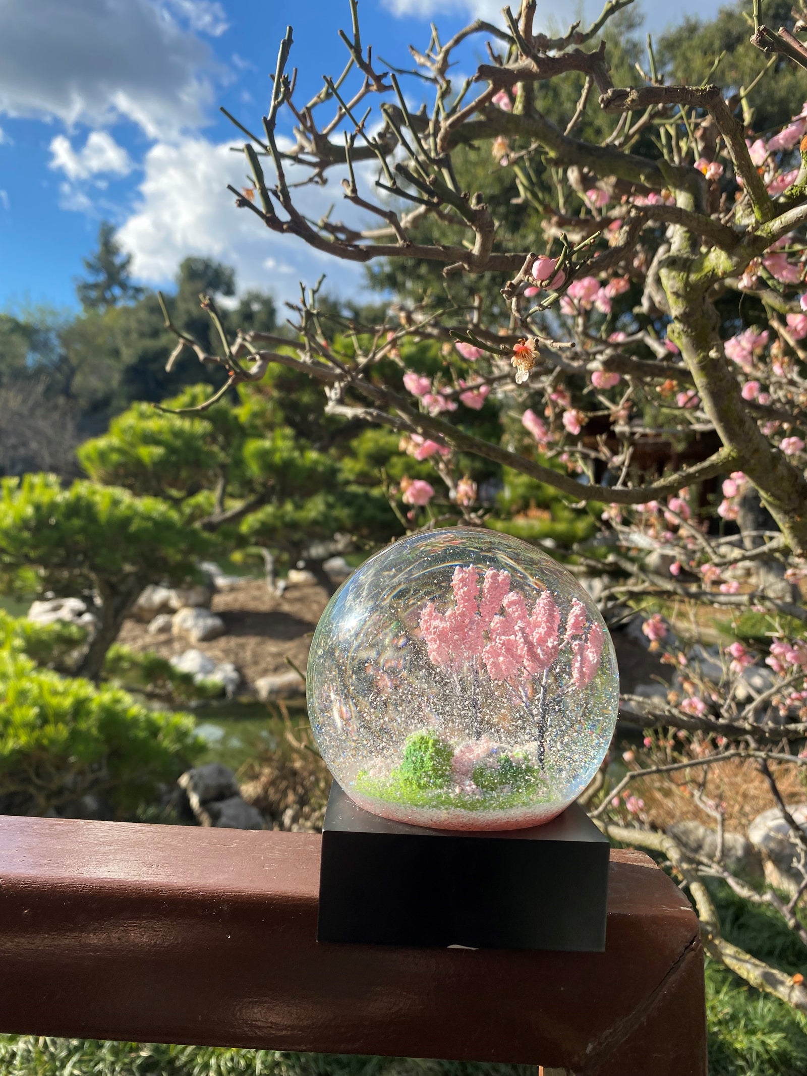 "The end of spring lingers in the cherry blossoms" - Buson Keep a reminder of Spring, and the hope and renewal that comes with it, with this gorgeous spring snow-globe. Glass Globe: 4 inches in diameter Total Dimensions: 4 x 4 x 5 inches Gift Box is included: 5 x 5 x 5 inches.
