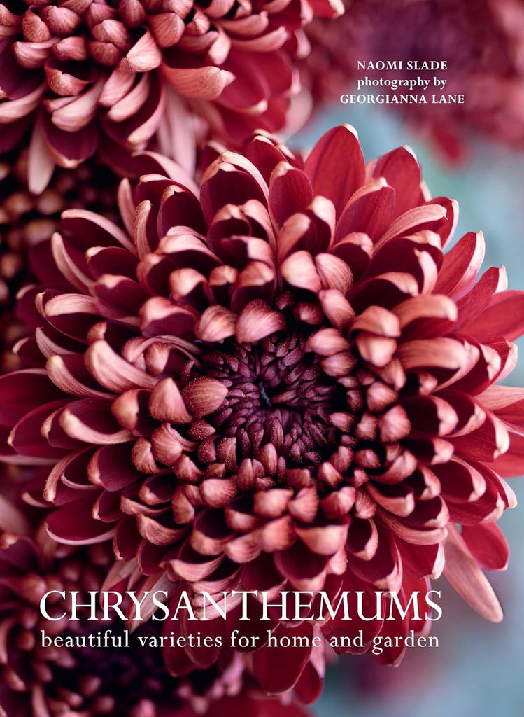 A celebration of the colorful, versatile chrysanthemum―a popular choice for corsages, bridal bouquets, centerpieces, and houseplant gifts. The underestimated chrysanthemum is the epitome of both flamboyance and style with its many varieties and shapes. Naomi Slade chronicles it beautifully in Chrysanthemums. This book is the perfect handbook for anyone wanting to propagate, grow, or cut the perfect chrysanthemum. 256 pages Hardcover