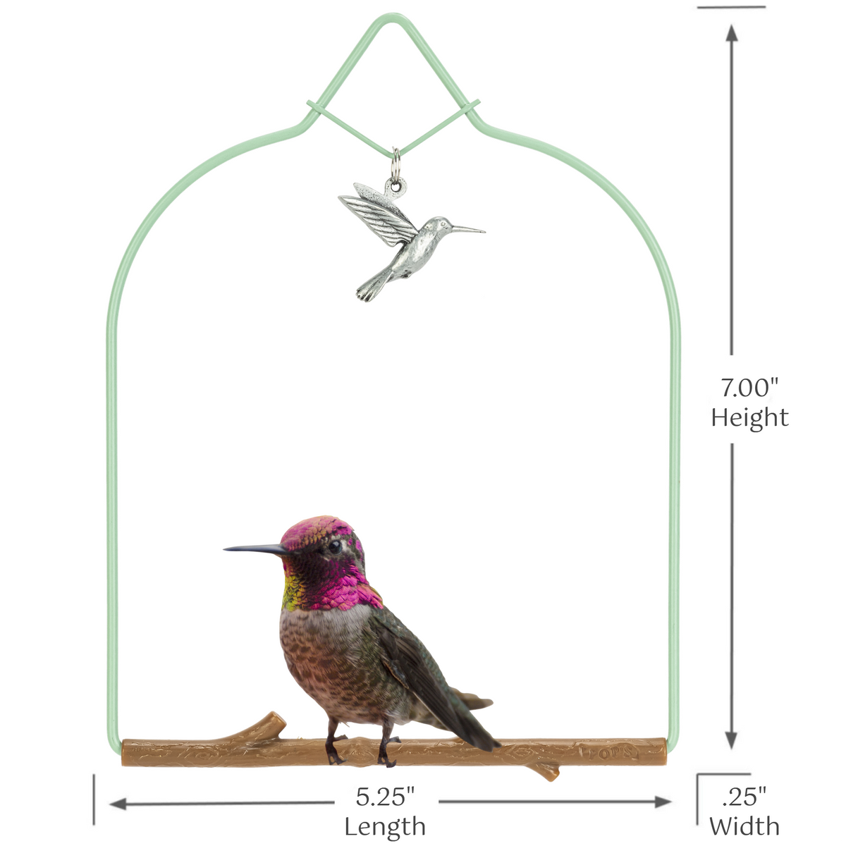 HUMMINGBIRD CHARM BIRD SWING
