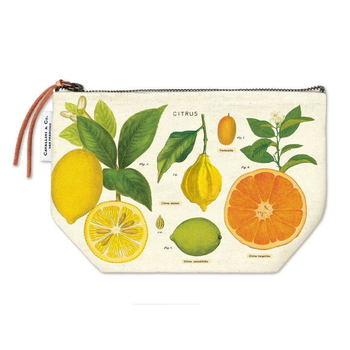 This natural canvas citrus zipper pouch features bright and colorful vintage botanical citrus illustrations on both sides. Trimmed with a real leather zipper pull, this sturdy pouch is perfect for cosmetics, pens, pencils, art supplies and more. 100% natural cotton. 6 x 9 inches.