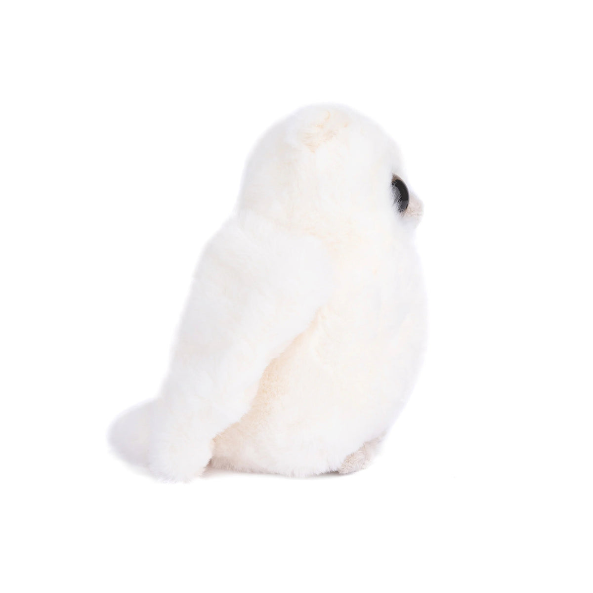 CLEVER BLANCA BABY SNOWY OWL