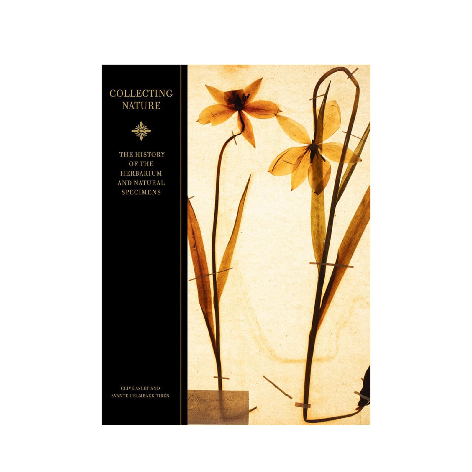 Book cover with floral design and text on a white background