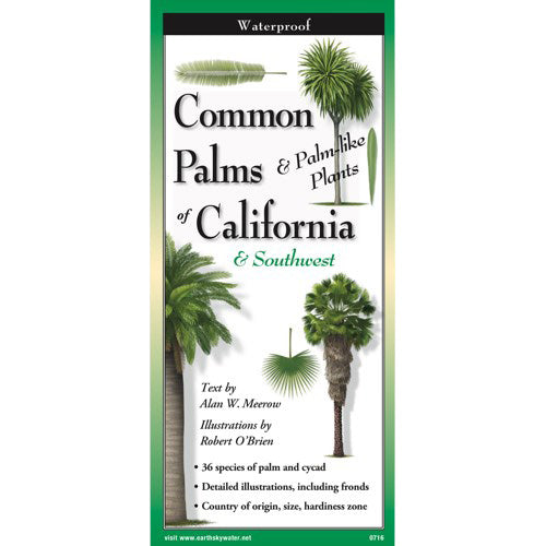 Learn to seek out and identify the most common palms in California with this handy, waterproof, fold-out field guide. Includes 36 species of palm trees and Palm-like plants, both common and exotic, found throughout the region. Waterproof, laminated field guide Dimensions when folded: 9" x 4" x 0.1". When open: 9" x 24"