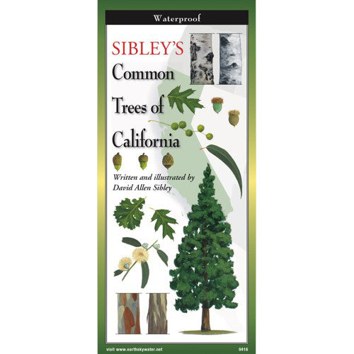 Learn to seek out and identify the most common trees in California with this handy, waterproof, fold-out field guide.  Includes 47 of the most common, indigenous and cultivated species of trees in California and includes descriptions as well as illustrations of bark, leaves, blossoms, fruits and berries. 