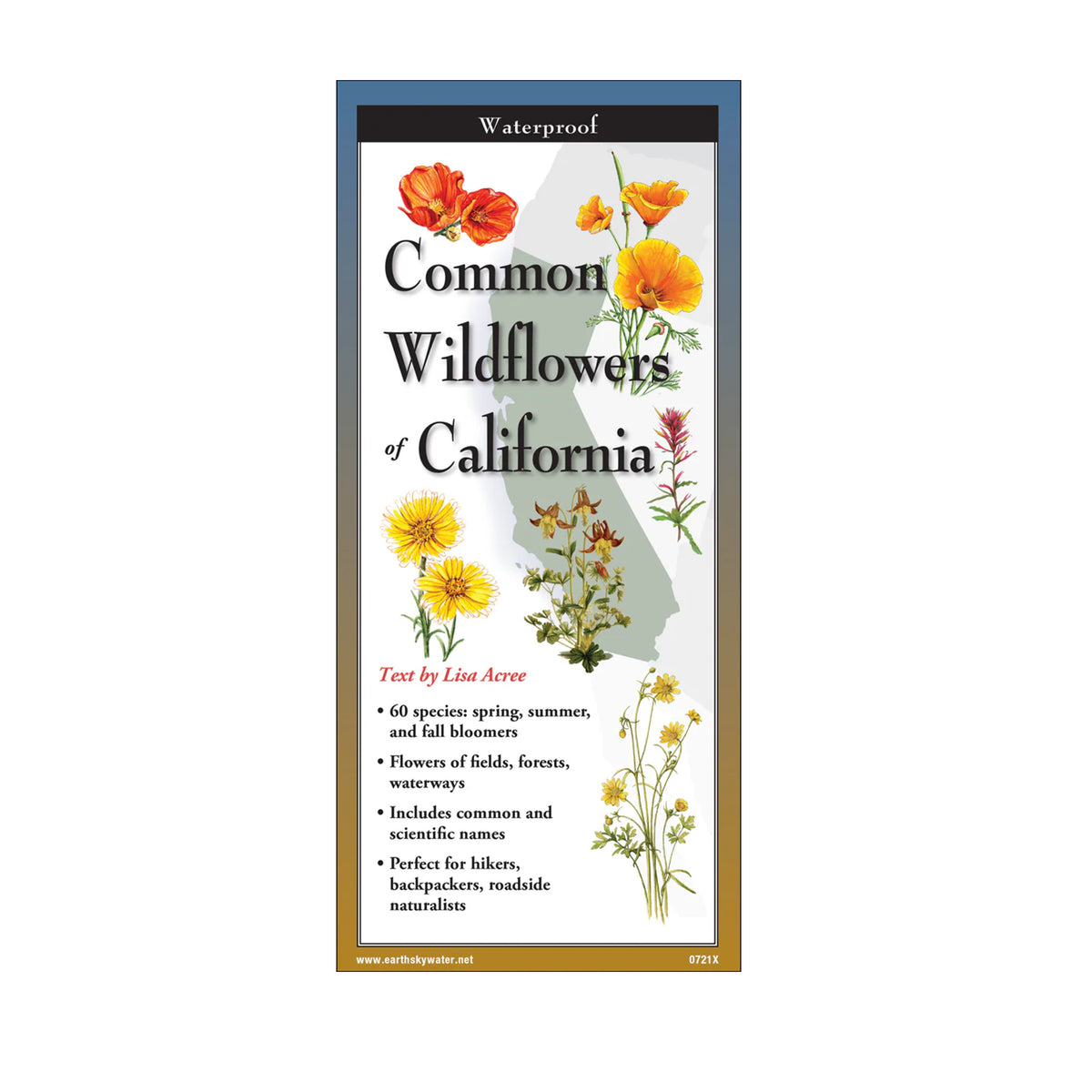 Field guide cover of 'Common Wildflowers of California' with illustrations of flowers on a white background.