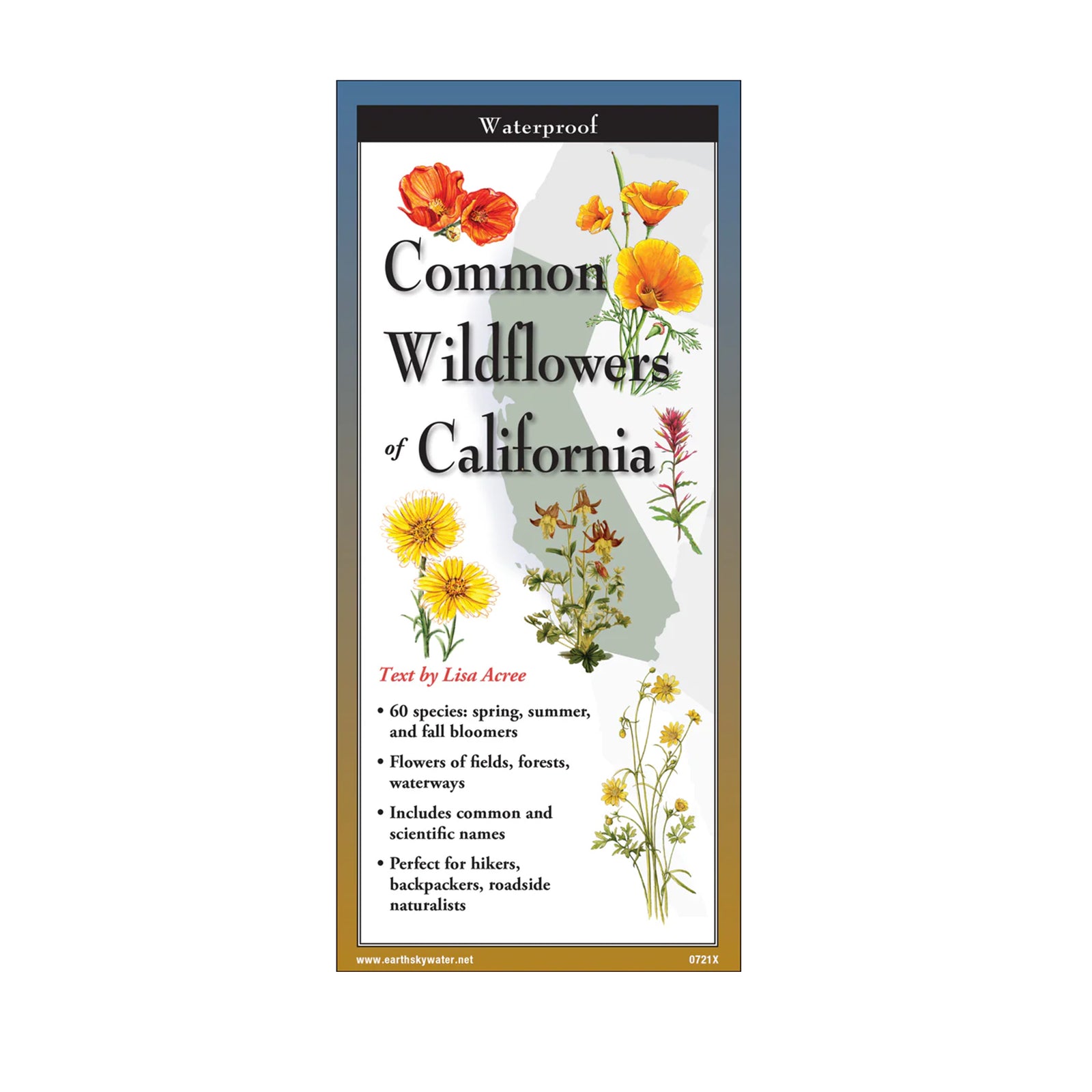 Field guide cover of 'Common Wildflowers of California' with illustrations of flowers on a white background.