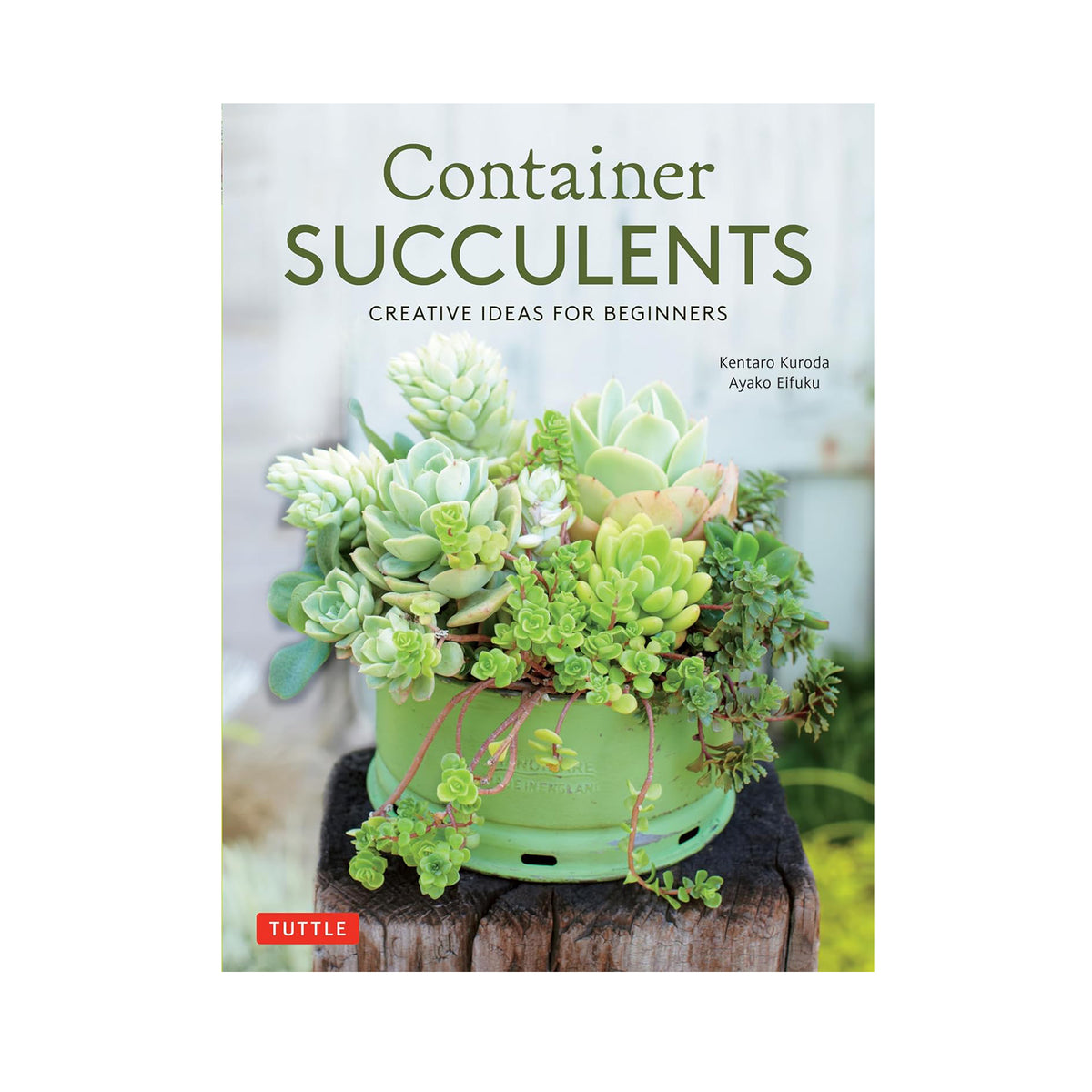 CONTAINER SUCCULENTS: CREATIVE IDEAS FOR BEGINNERS