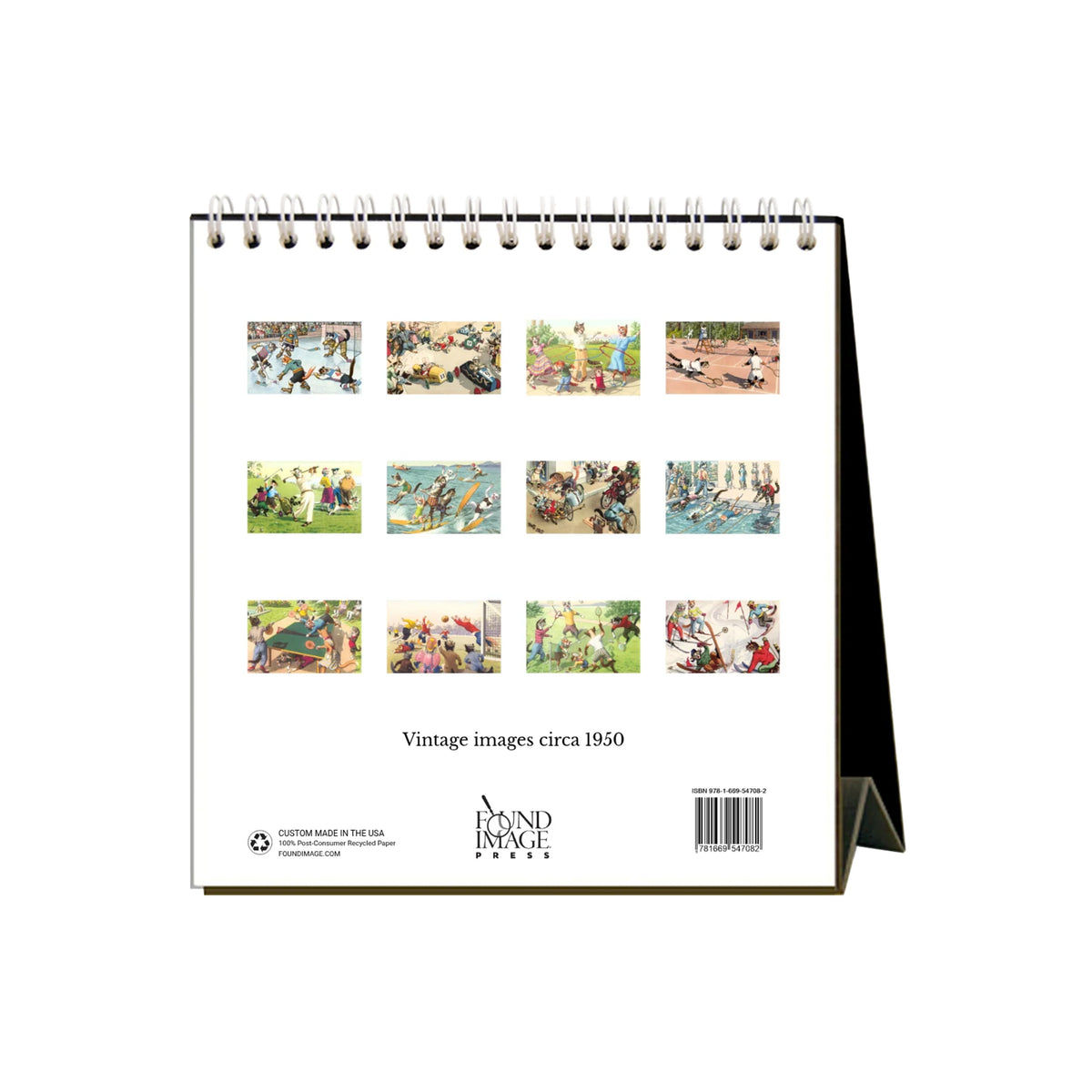 CRAZY CATS 2027 DESK CALENDAR