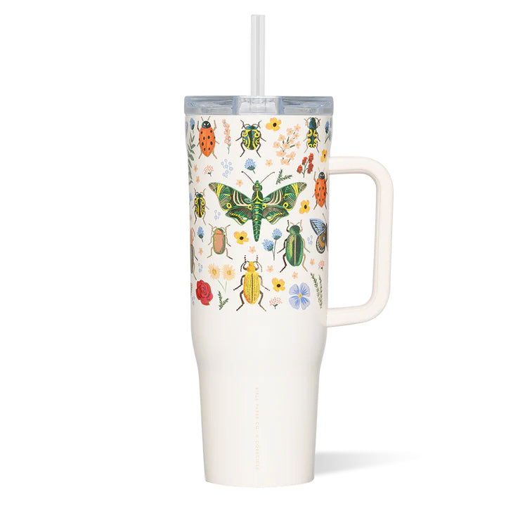 CURIO CRUISER CUP