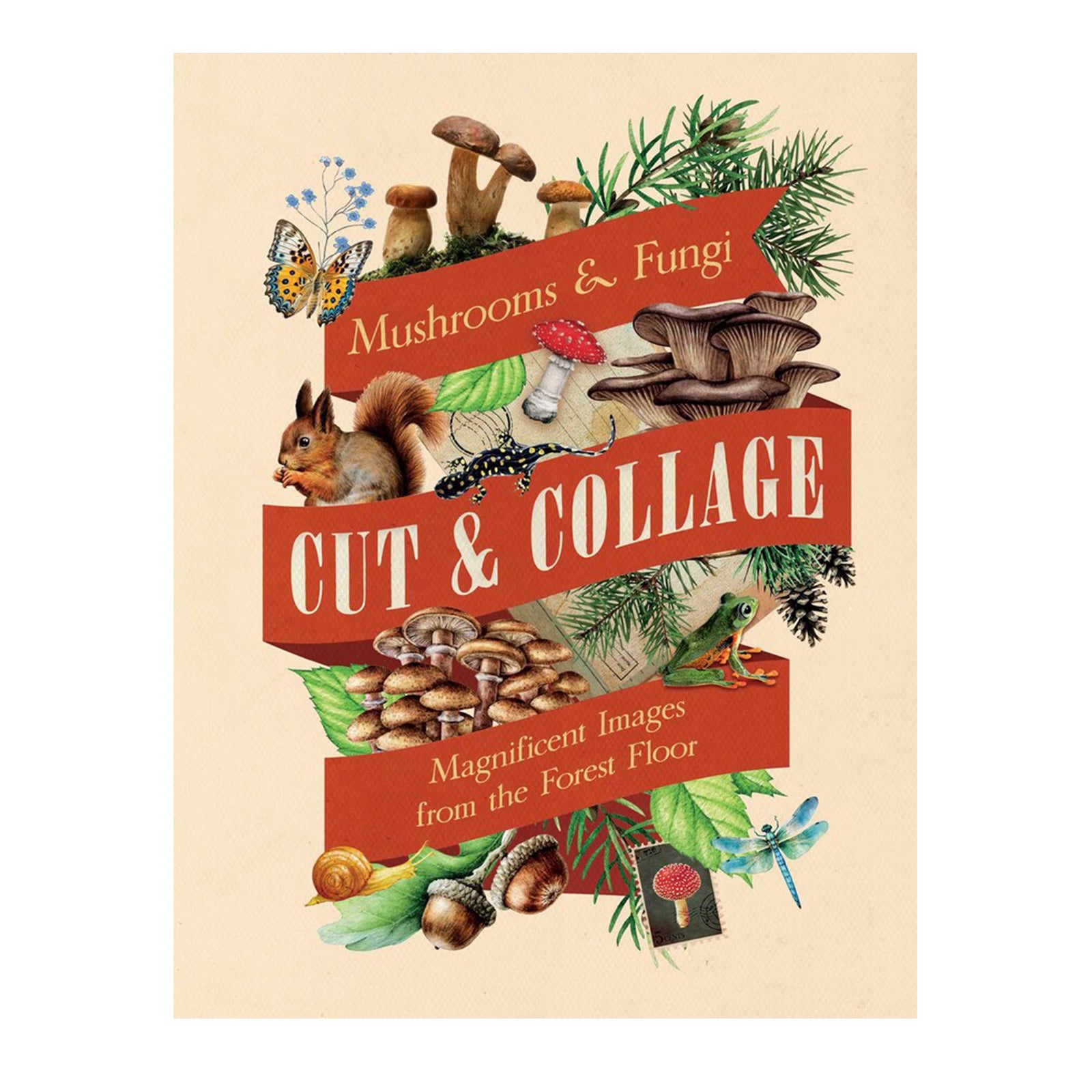 Celebrate the fascinating world of fungi with gorgeous, full-color images ready for you to cut out and add to collages, vision boards, scrapbooks, greeting cards, and more. Featuring hundreds of eye-catching, unique, and colorful varieties of mushrooms and fungi, this one-of-a-kind collection of photos and illustrations adds endless possibilities to all of your crafting projects.