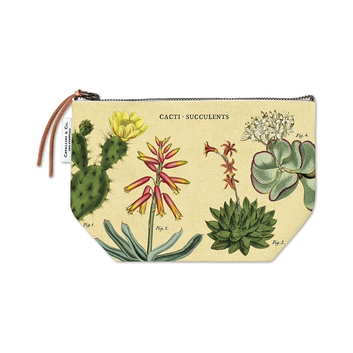 Pouch with cacti and succulents illustration on a beige background