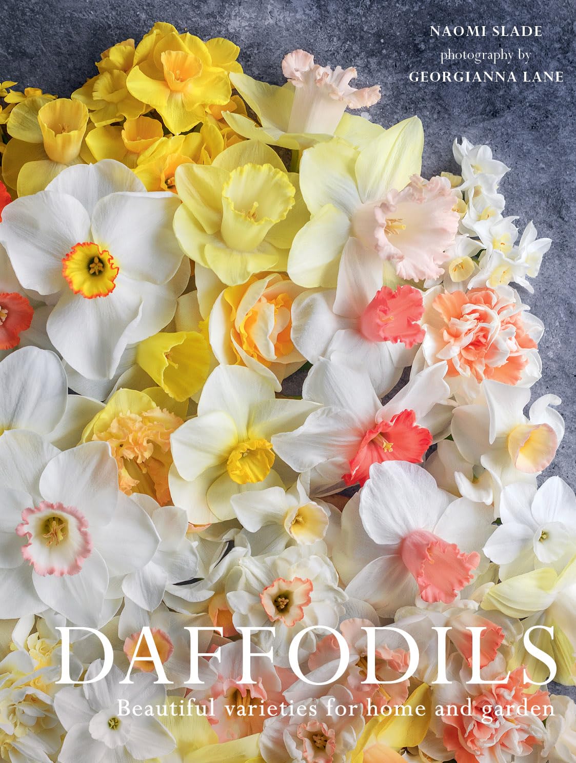 The quintessential heralds of spring, jaunty daffodils are as diverse and fascinating as they are adored. In Daffodils: Beautiful Varieties for Home and Garden, leading garden writer Naomi Slade explores the intriguing history of the genus Narcissus along with its growing and care.