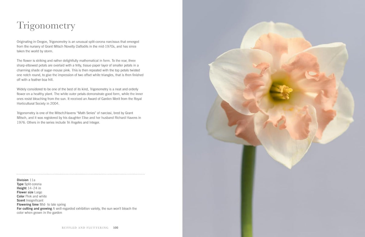 DAFFODILS: BEAUTIFUL VARIETIES FOR HOME &amp; GARDEN