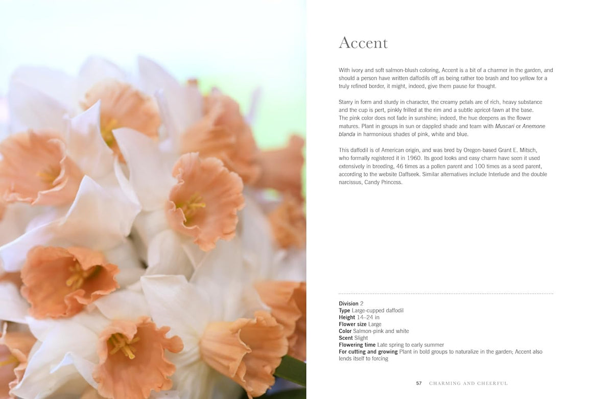 DAFFODILS: BEAUTIFUL VARIETIES FOR HOME &amp; GARDEN