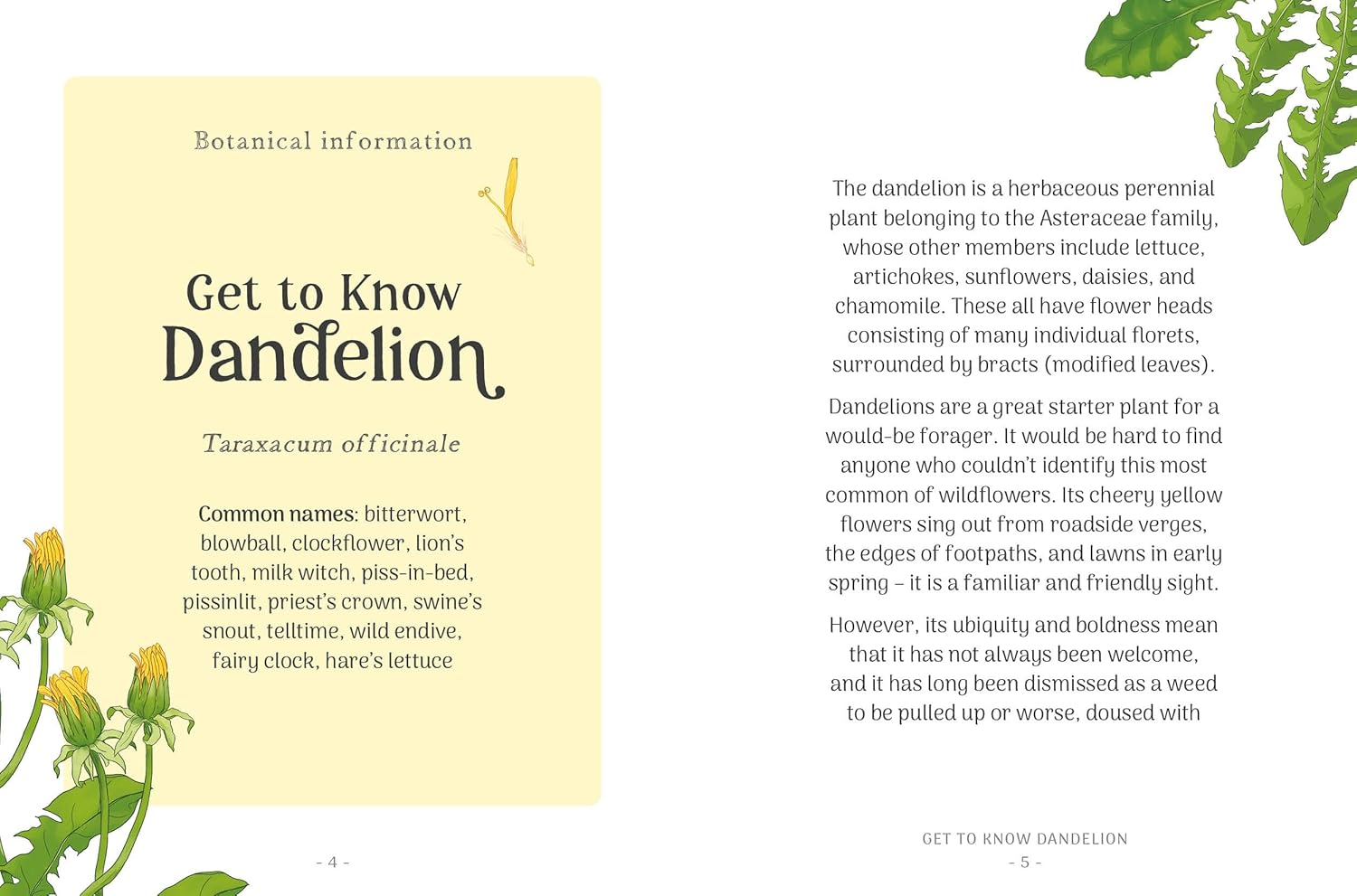 In The Little Wild Library: Dandelion, discover what makes this little burst of sunshine and fluff so special, with a host of recipes and makes to try throughout the year. All the recipes and makes are beginner friendly, making it easier and more fulfilling to engage with the natural world and form a connection to the plants and flowers that decorate our lives