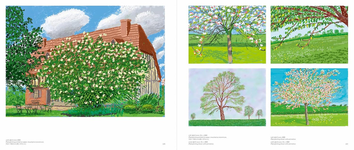 DAVID HOCKNEY