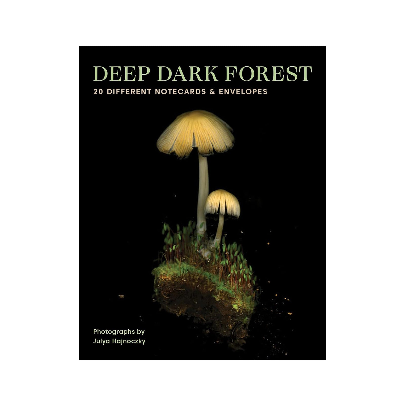 Boxed notecard set with mushrooms on a dark background and text 'Deep Dark Forest'.