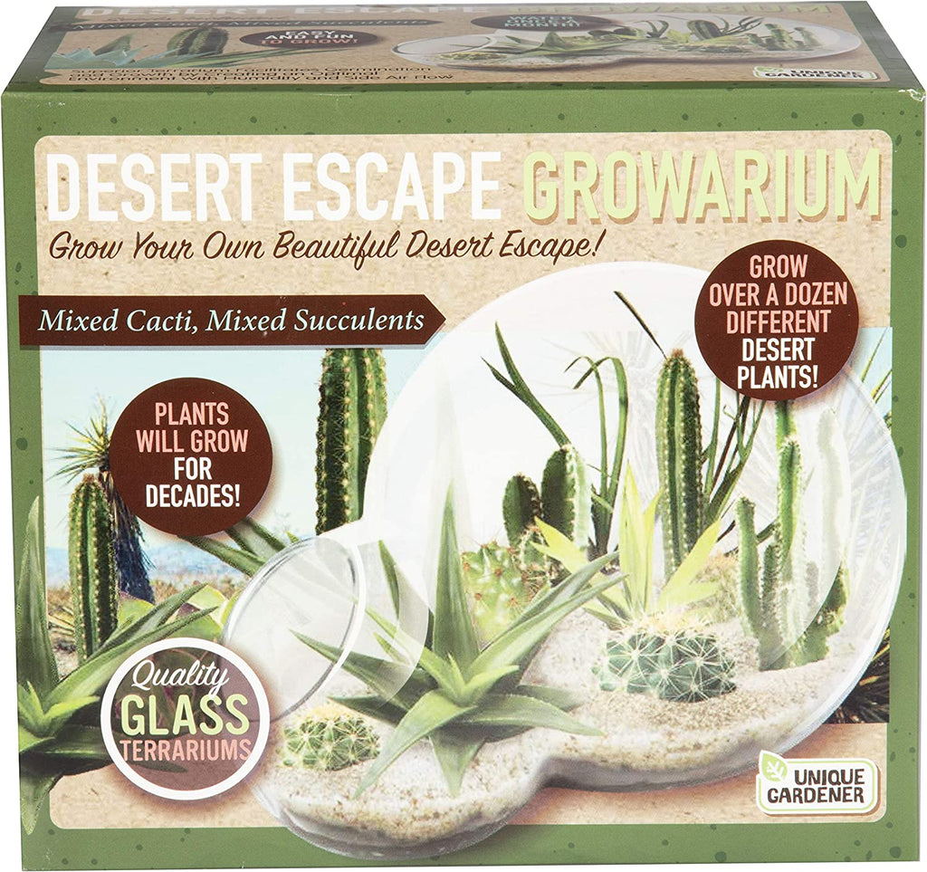 Grow your own desert escape with over a dozen desert plants that will last for years. This unique double-sphere glass terrarium is designed to give you the best growing experience possible. This elegant container with its miniature plants makes a beautiful addition to any space.