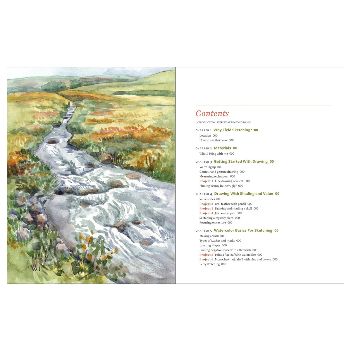 DISCOVER THE ART OF FIELD SKETCHING