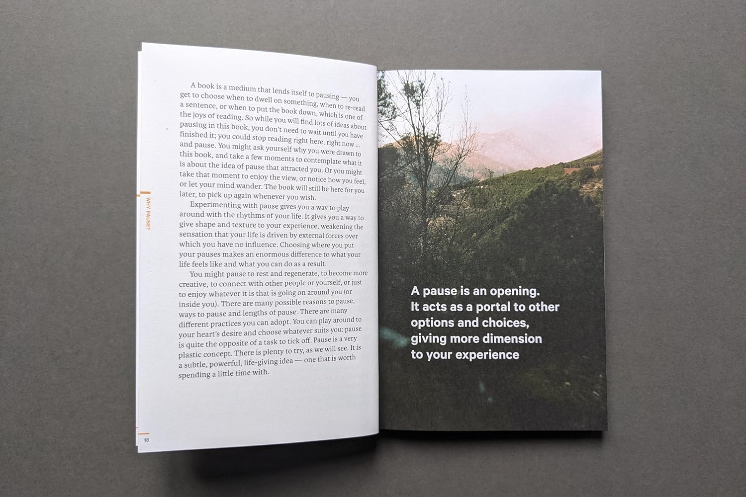 There is more to life than getting things done. Machines are designed to run constantly; people aren’t. Our coping mechanisms are meditation apps, weekend breaks and annual holidays, but things soon revert. To prosper, we need a more sustainable approach — an ability to pause. 128 pages. Softcover.