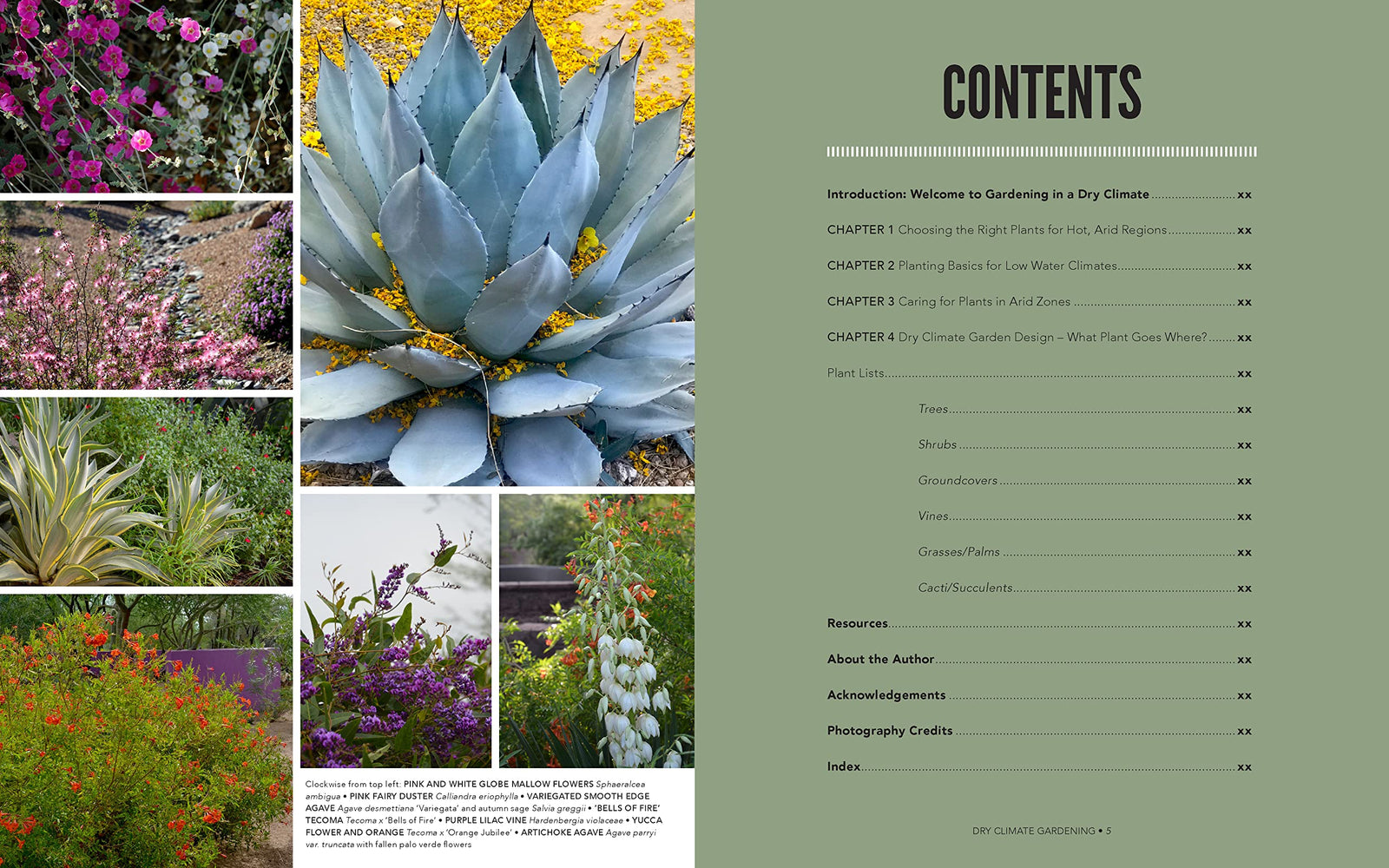 In Dry Climate Gardening, author and desert horticulturist Noelle Johnson, delivers all the know-how you need to grow a breathtaking, colorful, and vibrant garden in low-water conditions. Contains sample garden designs and plant lists you can adapt to your own space. 208 pages. Softcover.