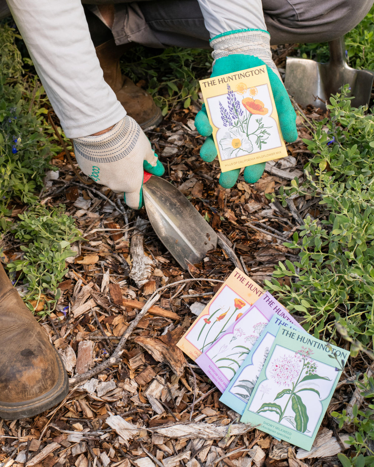 Person planting with gardening tools and seed packets in a garden setting