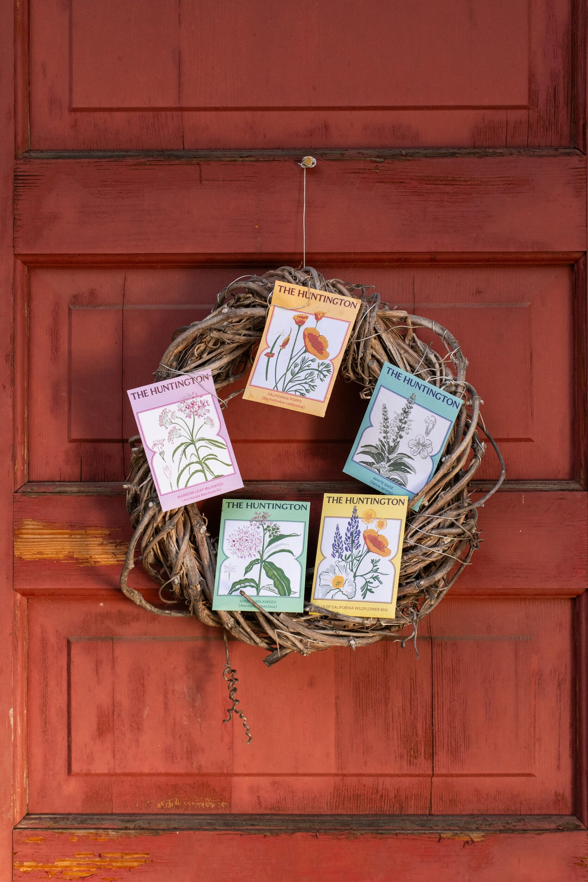 Wreath with botanical-themed cards on a red wooden door