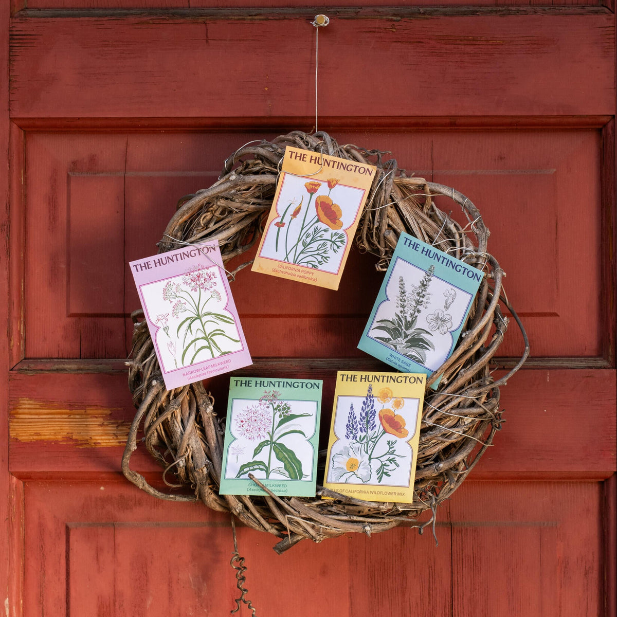 THE HUNTINGTON SHOWY MILKWEED SEED PACKET