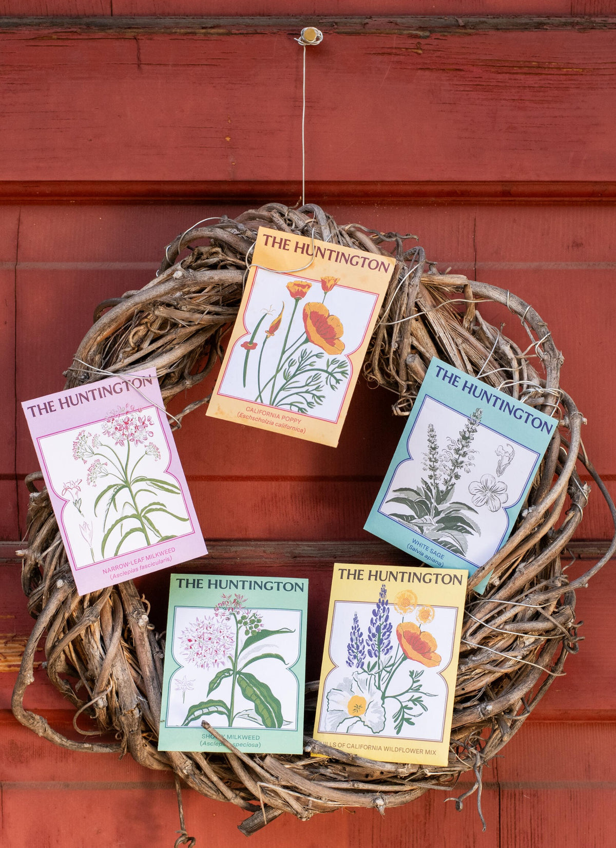 THE HUNTINGTON NARROW LEAF MILKWEED SEED PACKET
