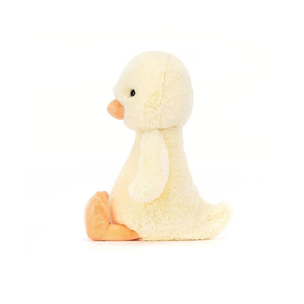 BASHFUL DUCKLING