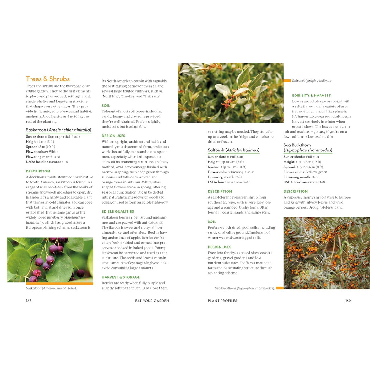 EAT YOUR GARDEN: EDIMENTALS AS A BEAUTIFUL, LOW-EFFORT WAY TO GROW FOOD