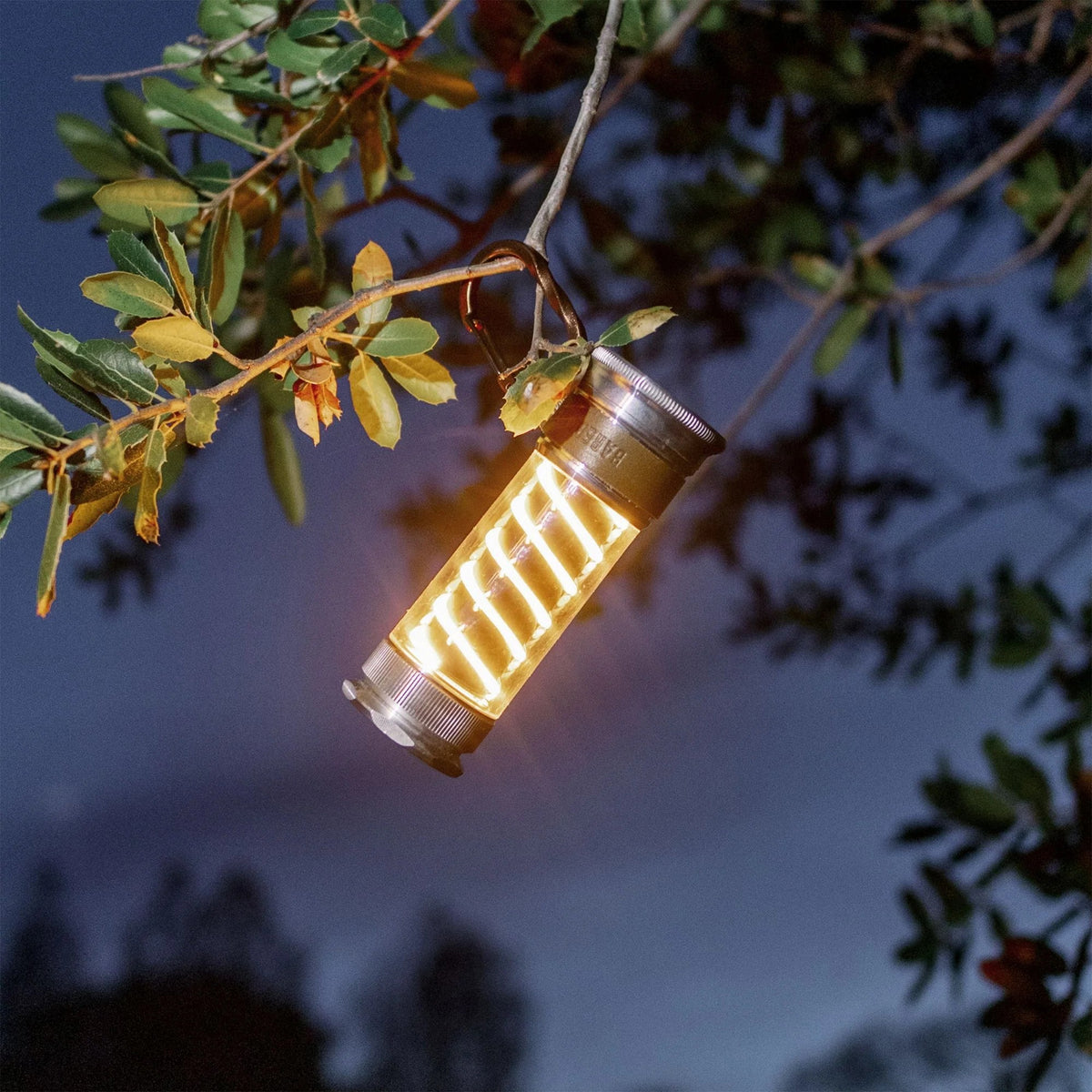 EDISON LIGHT STICK