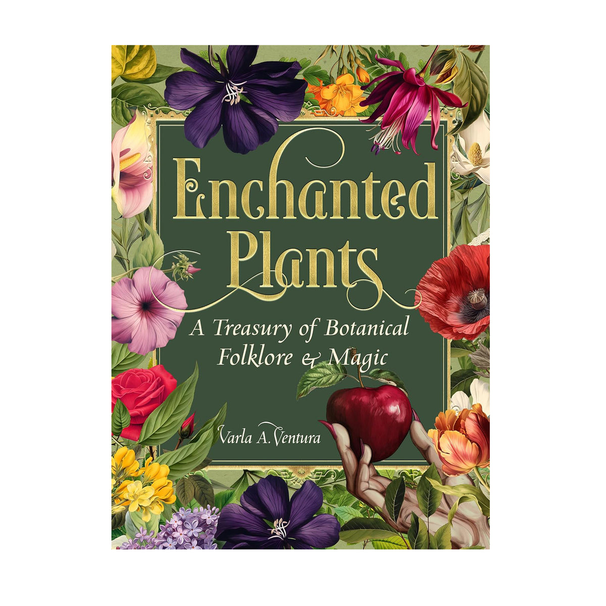 Book cover of &#39;Enchanted Plants&#39; with colorful plants and flowers on a green background