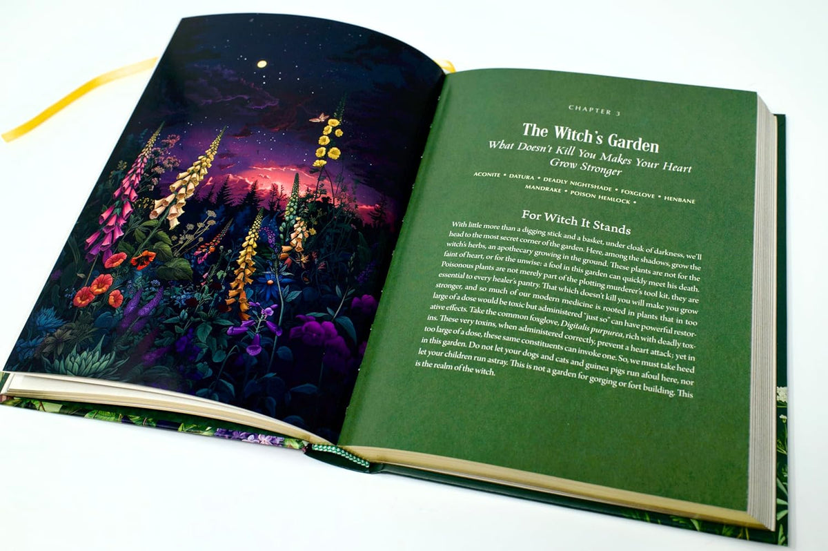 ENCHANTED PLANTS: A TREASURY OF BOTANICAL FOLKLORE &amp; MAGIC