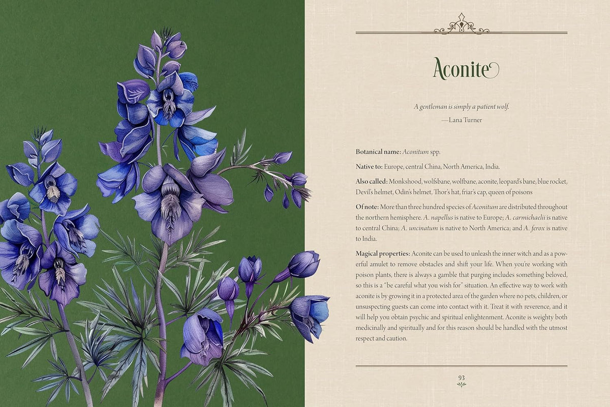 ENCHANTED PLANTS: A TREASURY OF BOTANICAL FOLKLORE &amp; MAGIC
