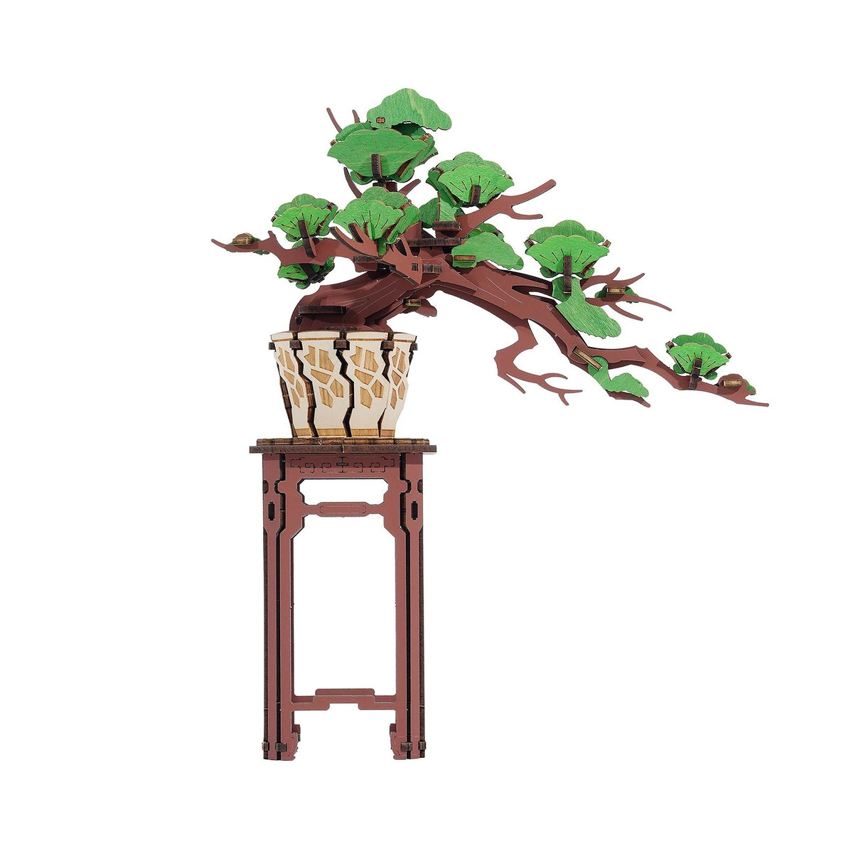 EVERGREEN PINE BONSAI MODEL KIT