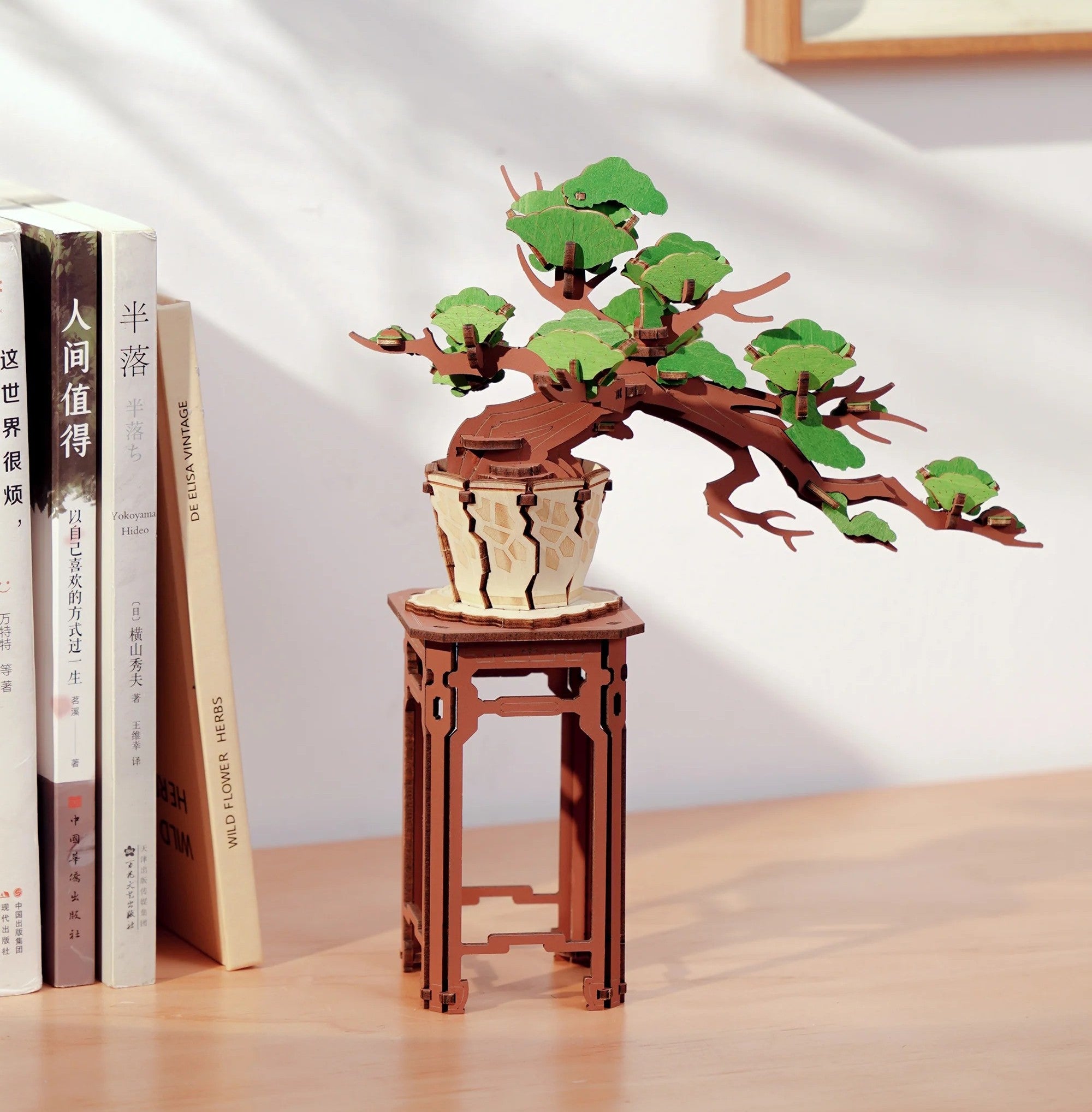 ready made bonsai tree EVERGREEN PINE BONSAI MODEL KIT
