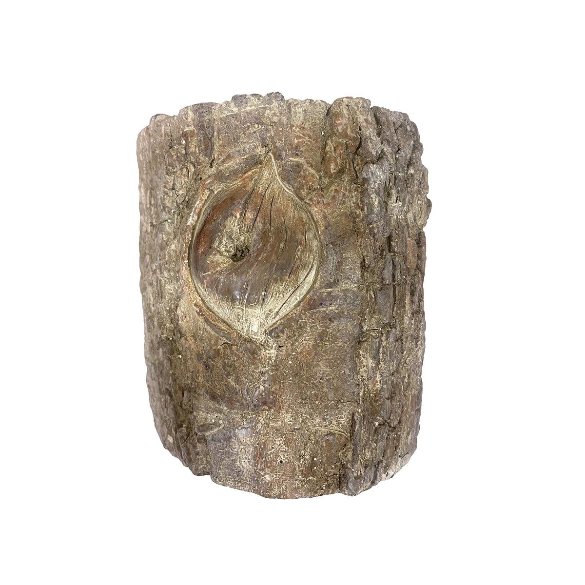 Tree bark-textured planter on a white background