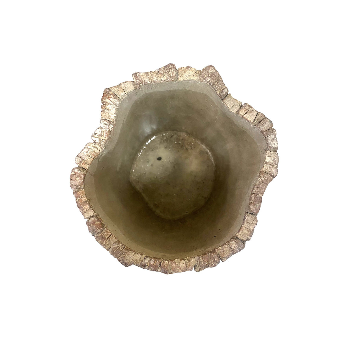 Tree bark-textured planter on a white background