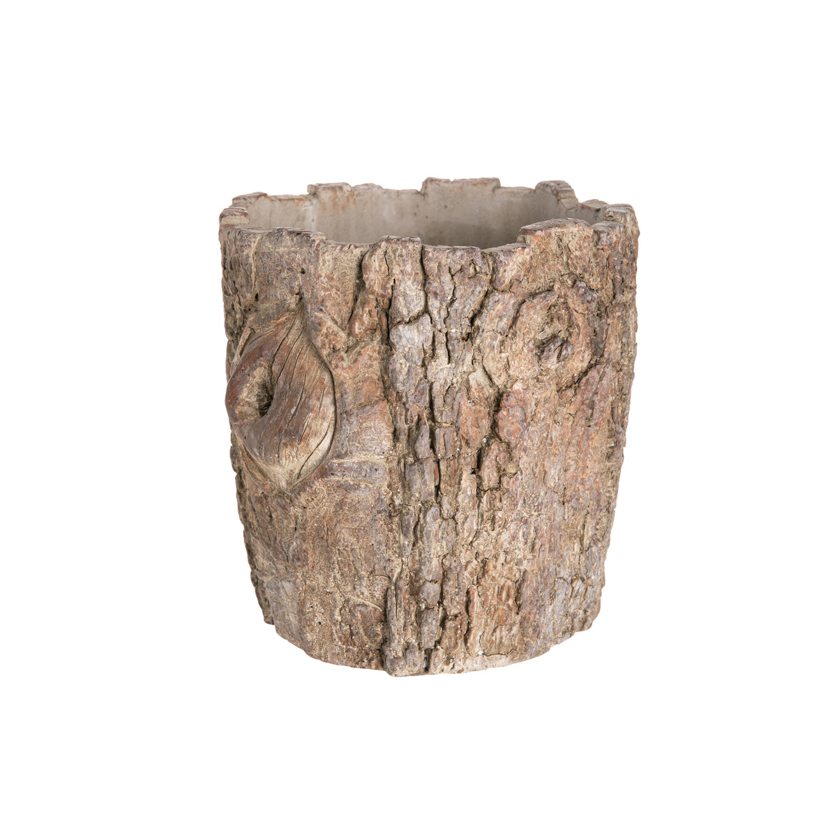 Tree bark-patterned planter on a white background