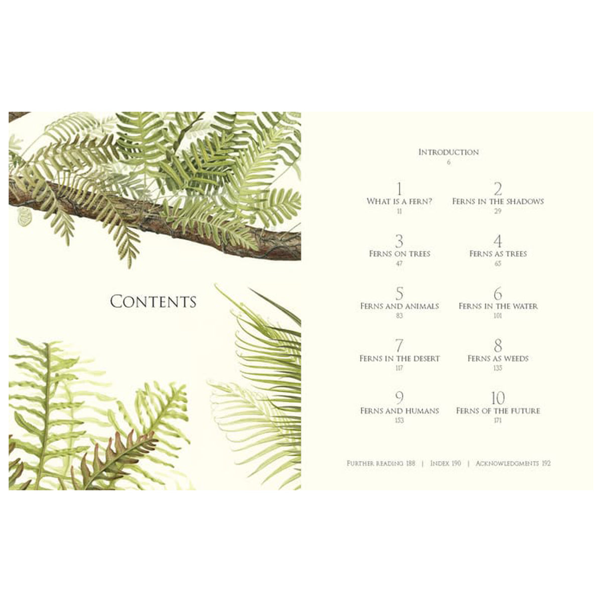 FERNS: LESSONS IN SURVIVAL FROM EARTH'S MOST ADAPTABLE PLANTS